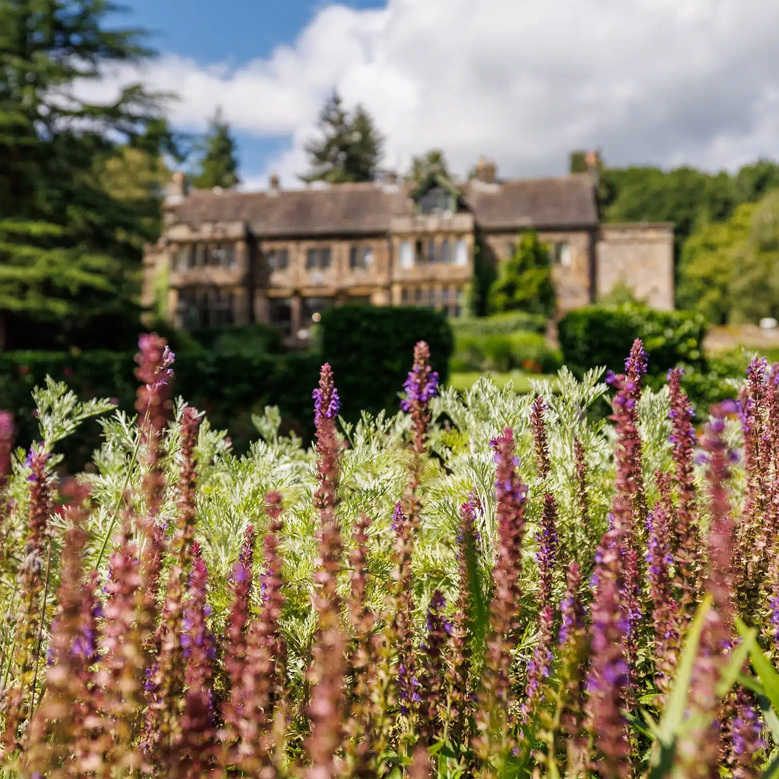 Weddings - Whirlow Brook Hall